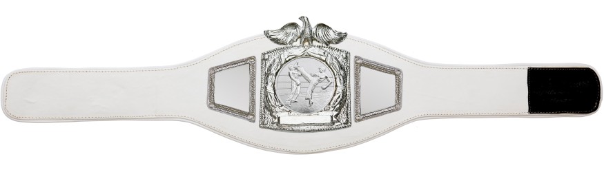 PROEAGLE KICKBOXING CHAMPIONSHIP BELT - PROEAGLE/S/KBOS - AVAILABLE IN 6+ COLOURS PROEAGLE KICKBOXING CHAMPIONSHIP BELT - PROEAGLE/S/KBOS - AVAILABLE IN 6+ COLOURS
